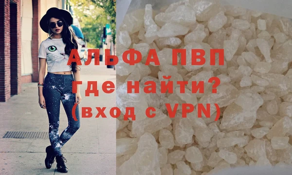 гидра Алексин